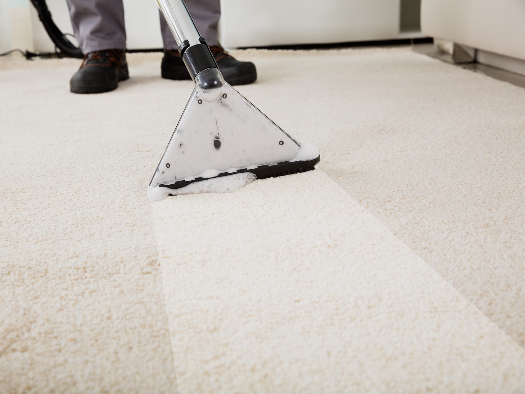 Carpet Cleaning